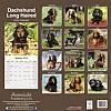 Long Haired Dachshund Calendar